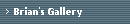 Brian's Gallery