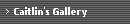 Caitlin's Gallery